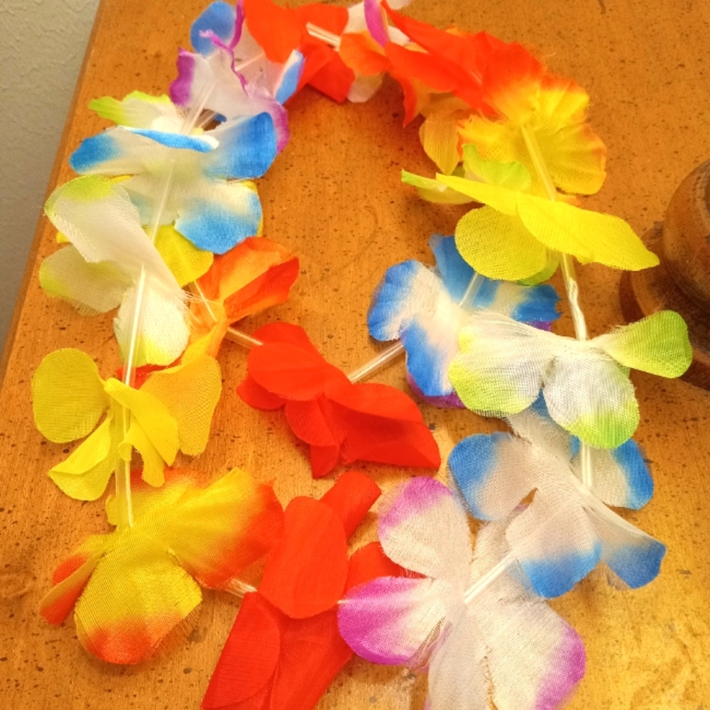 Rainbow Lei Necklace